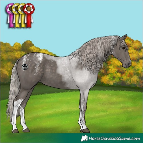 Horse Color:Powder White Silver Black Tobiano 
