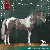 Horse Color:Powder White Silver Black Tobiano 