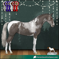 Horse Color:Powder White Silver Black Tobiano