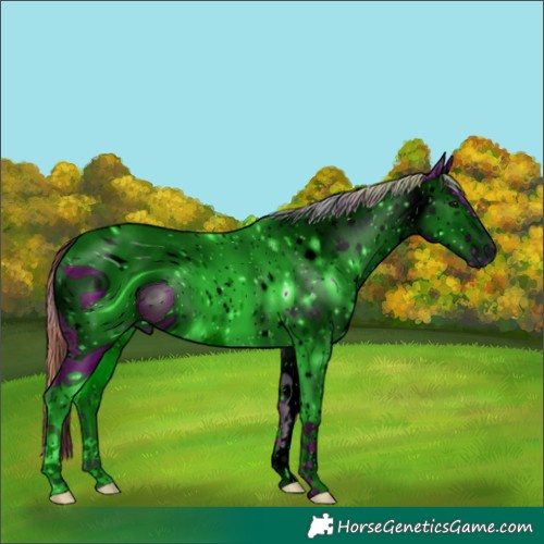 Horse Color:ERROR: UNKNOWN ANOMALY