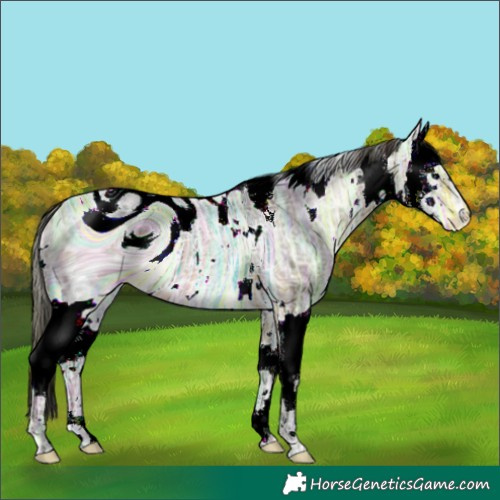 Horse Color:ERROR: UNKNOWN ANOMALY