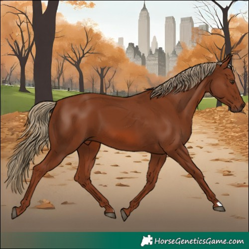 Horse Color:Chestnut 