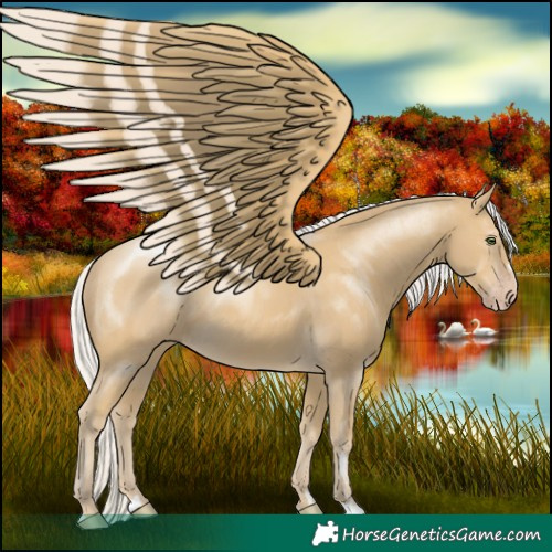 Horse Color:Silver Classic Cream Champagne 