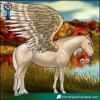 Horse Color:Silver Classic Cream Champagne 