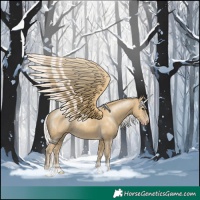 Horse Color:Silver Classic Cream Champagne