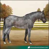 Horse Color:Gray Brown Roan Rabicano 