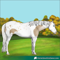 Horse Color:Silver Smoky Black Pearl Splash Tobiano