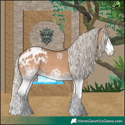 Horse Color:White Spotted Silver Bay Dun Tobiano Appaloosa 