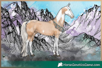 Horse Color:Silver Black Pearl Merle Sabino