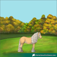 Horse Color:Palomino