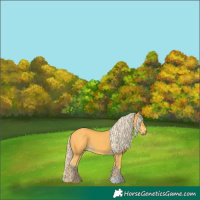 Horse Color:Palomino 