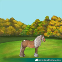 Horse Color:Chocolate Palomino Tobiano 