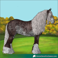 Horse Color:Chocolate Silver Smoky Black Chinchilla Ice