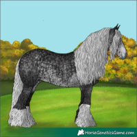 Horse Color:Silver Smoky Black Chinchilla Ice