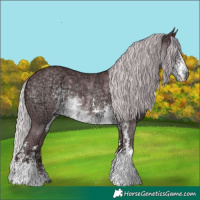 Horse Color:Chocolate Silver Smoky Black Chinchilla Ice Sabino 