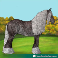 Horse Color:Chocolate Silver Black Chinchilla Ice