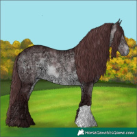 Horse Color:Chocolate Brown Chinchilla Ice