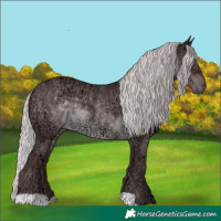 Horse Color:Chocolate Silver Black Chinchilla Ice