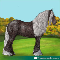 Horse Color:Chocolate Silver Smoky Black Chinchilla Ice