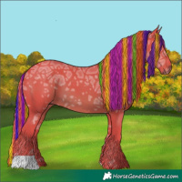 Horse Color:Painted Watercolor Chestnut Ice 