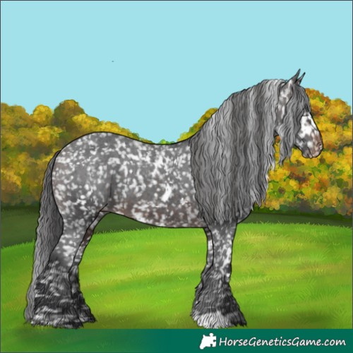 Horse Color:White Spotted Brown Appaloosa 