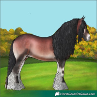 Horse Color:Brown Onyx