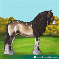 Horse Color:White Spotted Brown Onyx Varnish