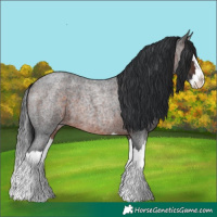 Horse Color:Brown Roan Splash