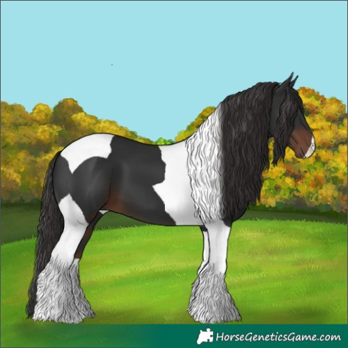 Horse Color:Liver Chestnut Tobiano 