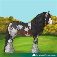 Horse Color:Brown Ice 
