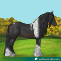 Horse Color:Brown Tobiano