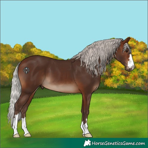 Horse Color:Silver Brown 