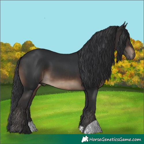 Horse Color:Brown 