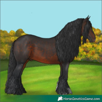Horse Color:Brown Sabino