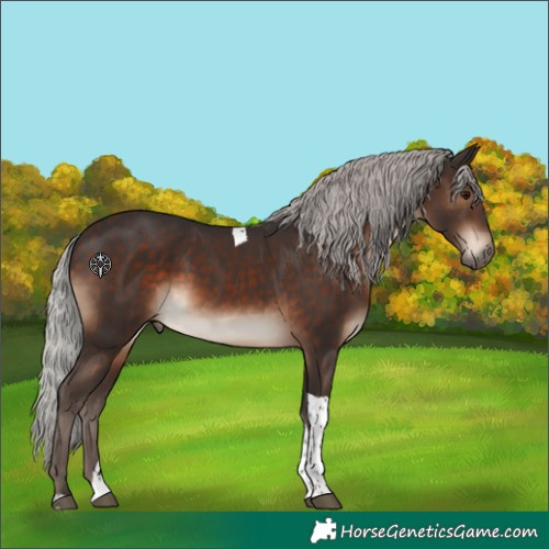 Horse Color:Silver Brown Tobiano 