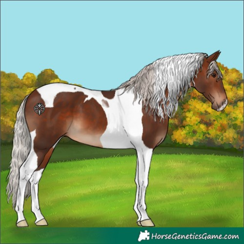 Horse Color:Silver Brown Tobiano 