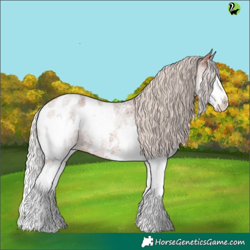 Horse Color:Silver Brown Roan Splash Appaloosa 