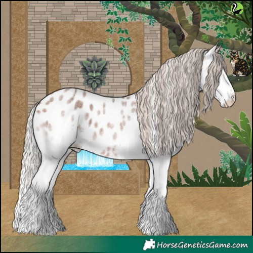 Horse Color:Silver Brown Roan Splash Near Leopard 