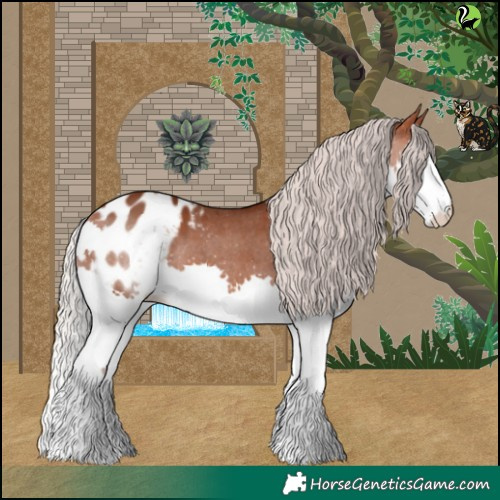Horse Color:Silver Bay Splash Appaloosa 