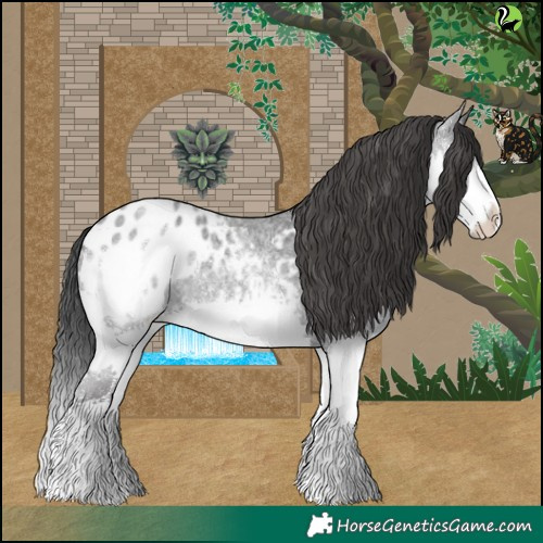 Horse Color:Blue Roan Splash Blanket 