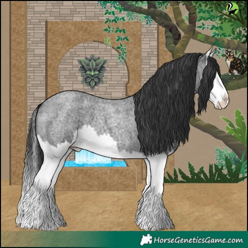 Horse Color:Blue Roan Splash 