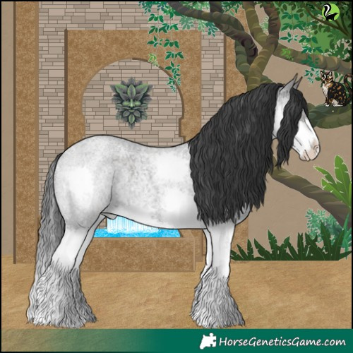 Horse Color:Blue Roan Splash 