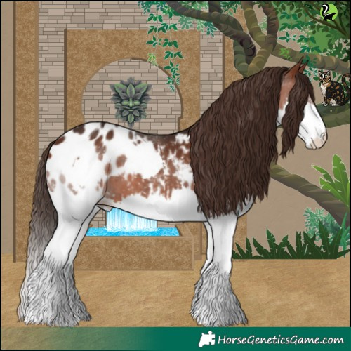 Horse Color:Brown Splash Blanket 