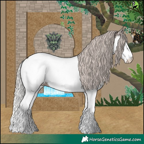 Horse Color:Silver Black Splash Appaloosa 