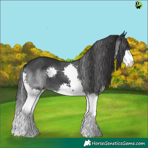 Horse Color:Black Splash 