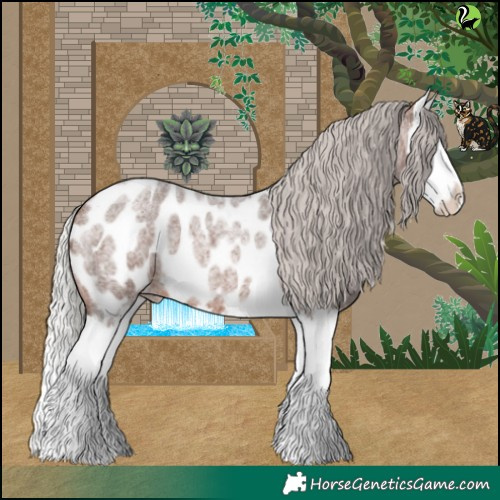 Horse Color:Silver Brown Roan Splash Near Leopard 