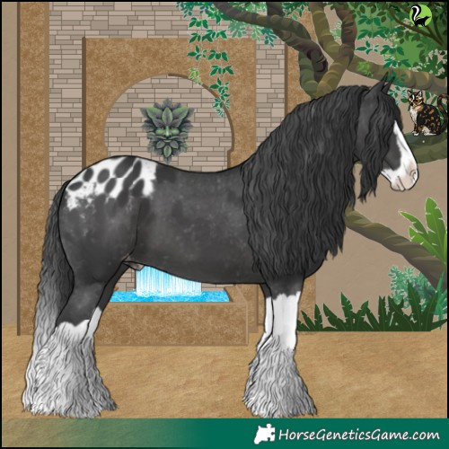 Horse Color:Black Splash Blanket 