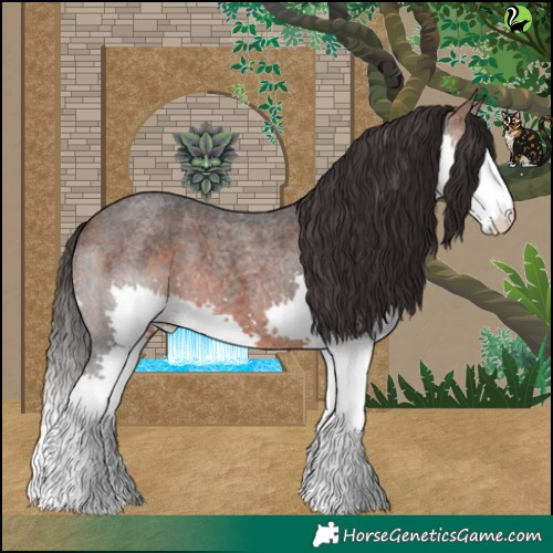 Horse Color:Brown Roan Splash 