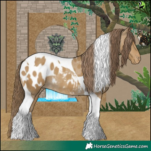 Horse Color:Classic Cream Champagne Tobiano Appaloosa 