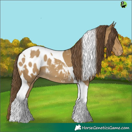Horse Color:Classic Cream Champagne Tobiano Appaloosa